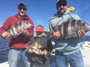 Pensacola Beach Report Photo 1