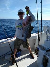 A fantastic mixed bag!