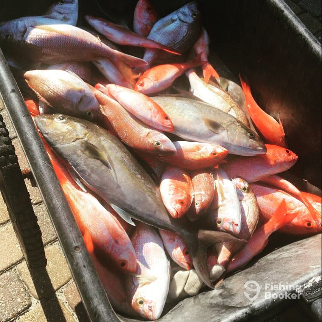 Orange Beach Report Photo 0