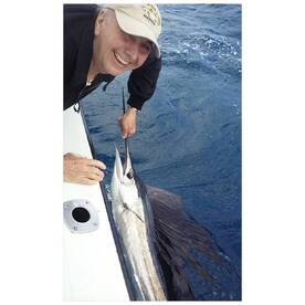 Sailfish have been biting for weeks now.