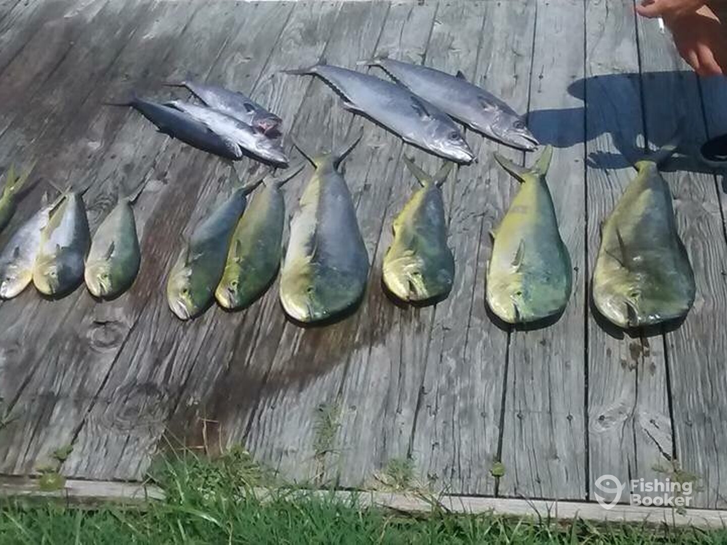 Atlantic Beach Report Photo 0