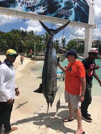 Nice blue marlin