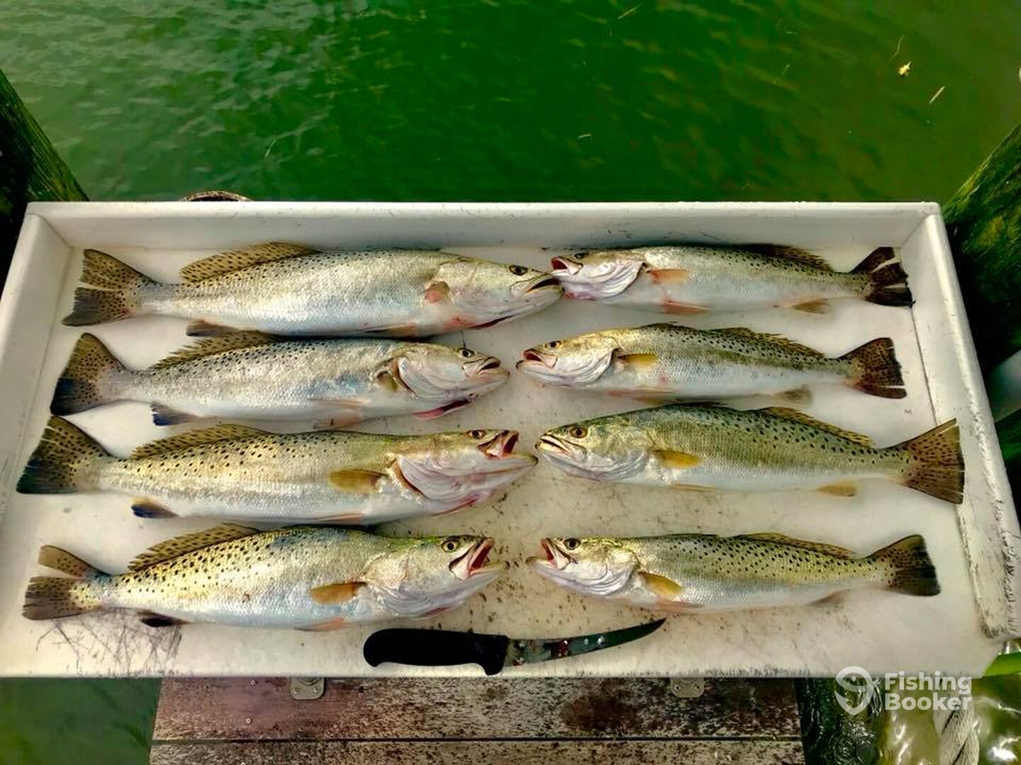 Islamorada Report Photo 0