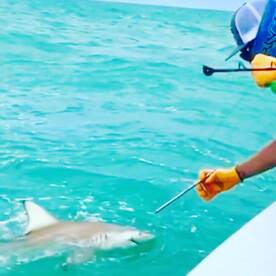 Islamorada Report Photo 1