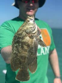 Islamorada Report Photo 2