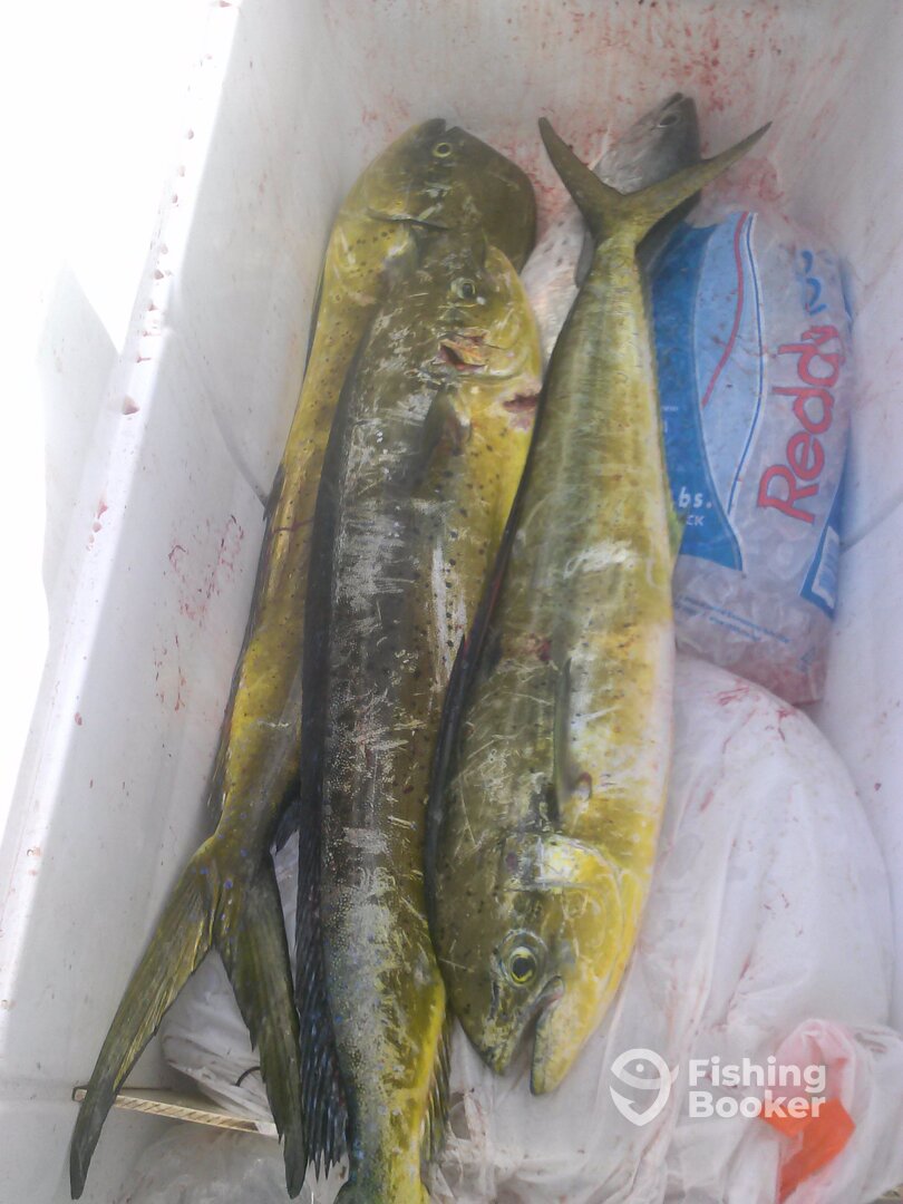 Pompano Beach Report Photo 0