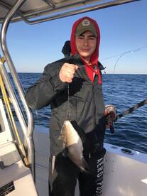 Orange Beach Report Photo 1