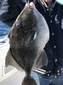 Destin Report Photo 2