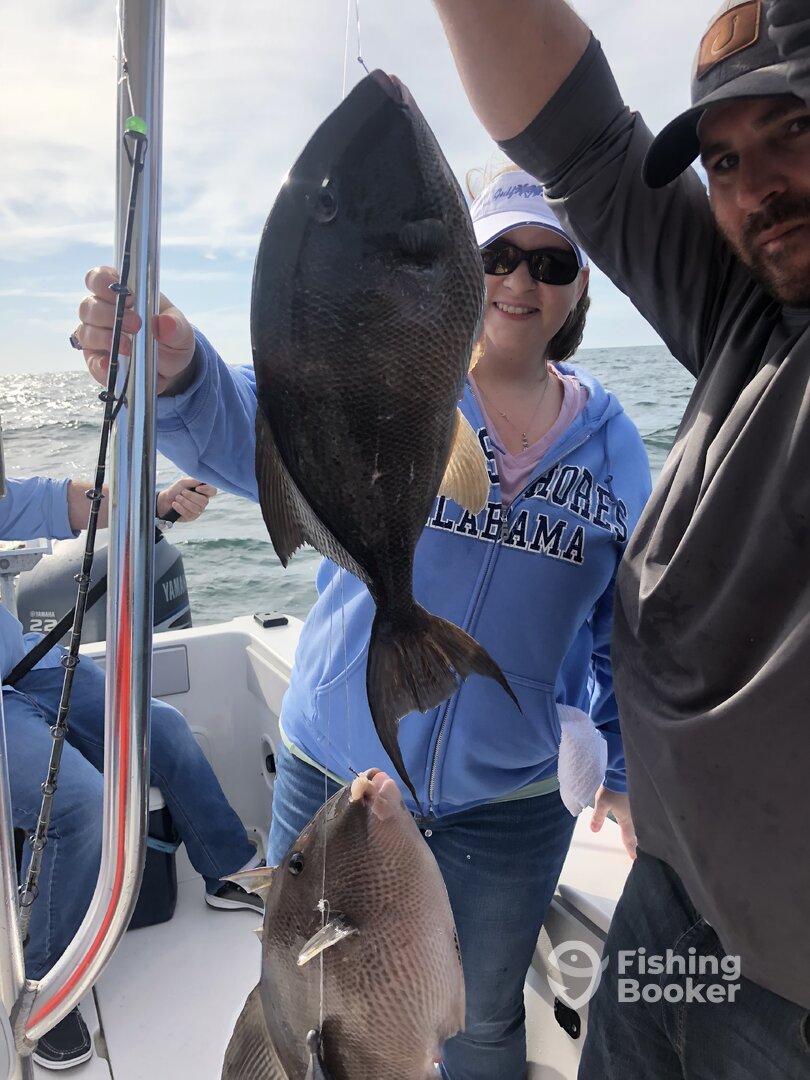 Orange Beach Report Photo 0