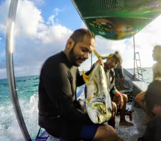 Playa Del Carmen Report Photo 2