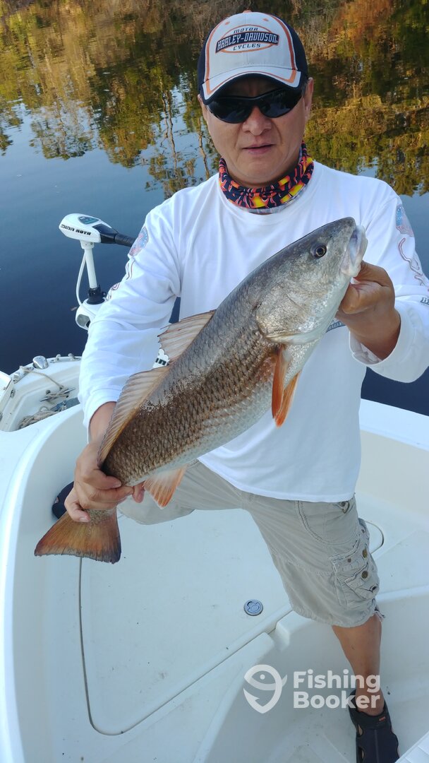 Port Orange Report Photo 0