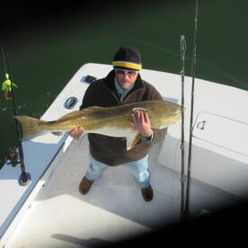 Ocracoke Report Photo 1