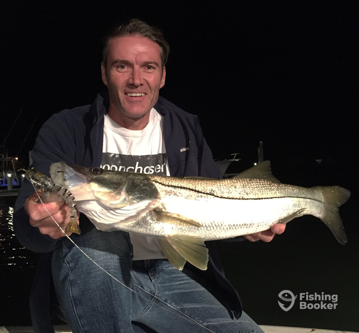 Miami Snook