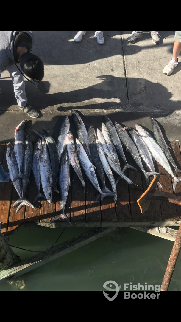 Clearwater Report Photo 0