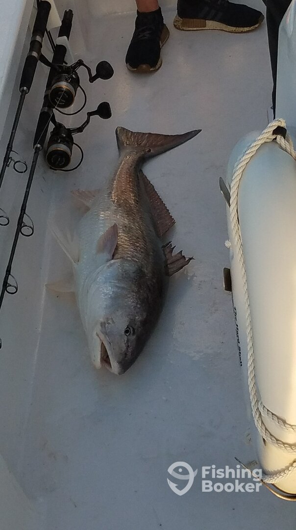 Panama City Beach Report Photo 0