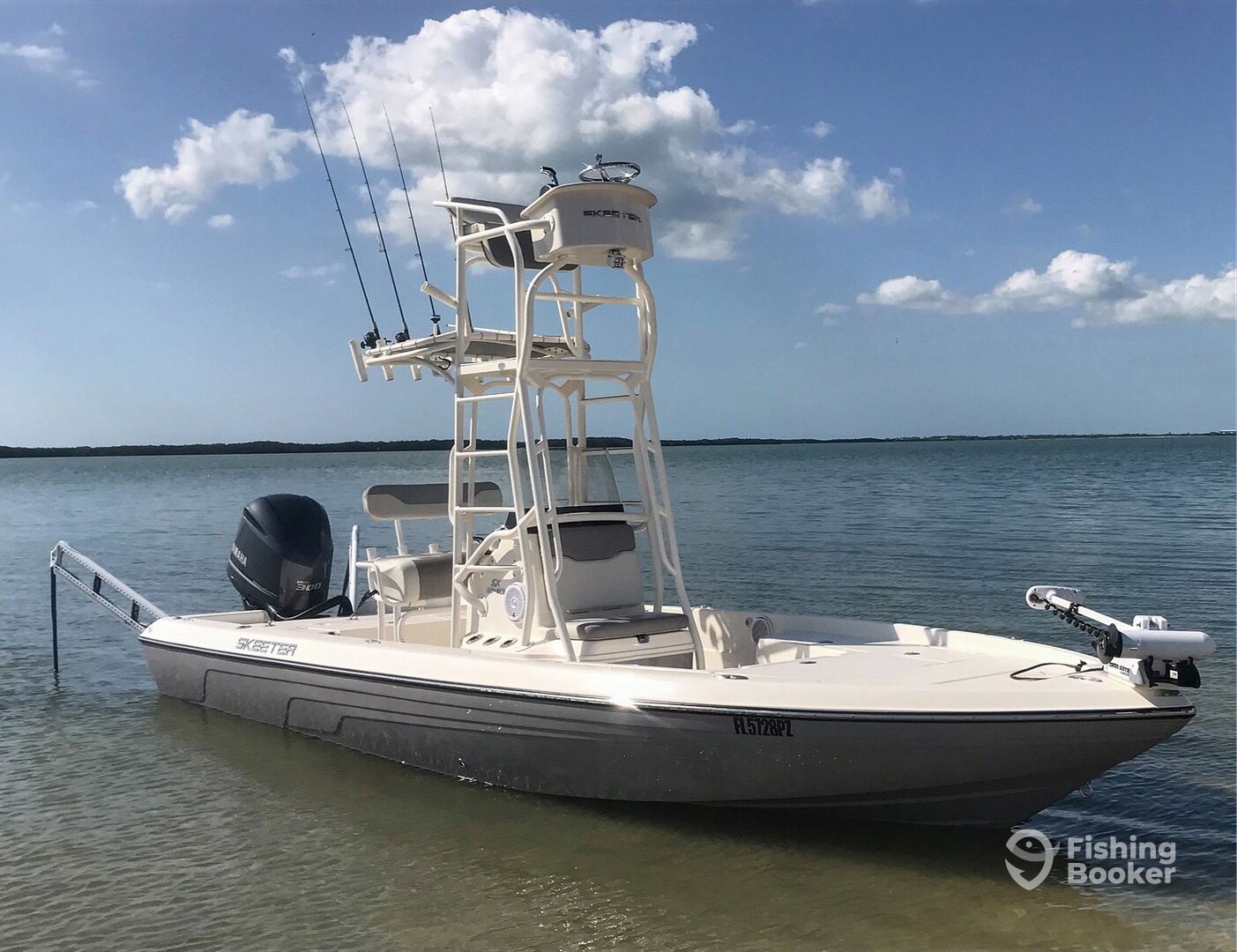 Clearwater Report Photo 0