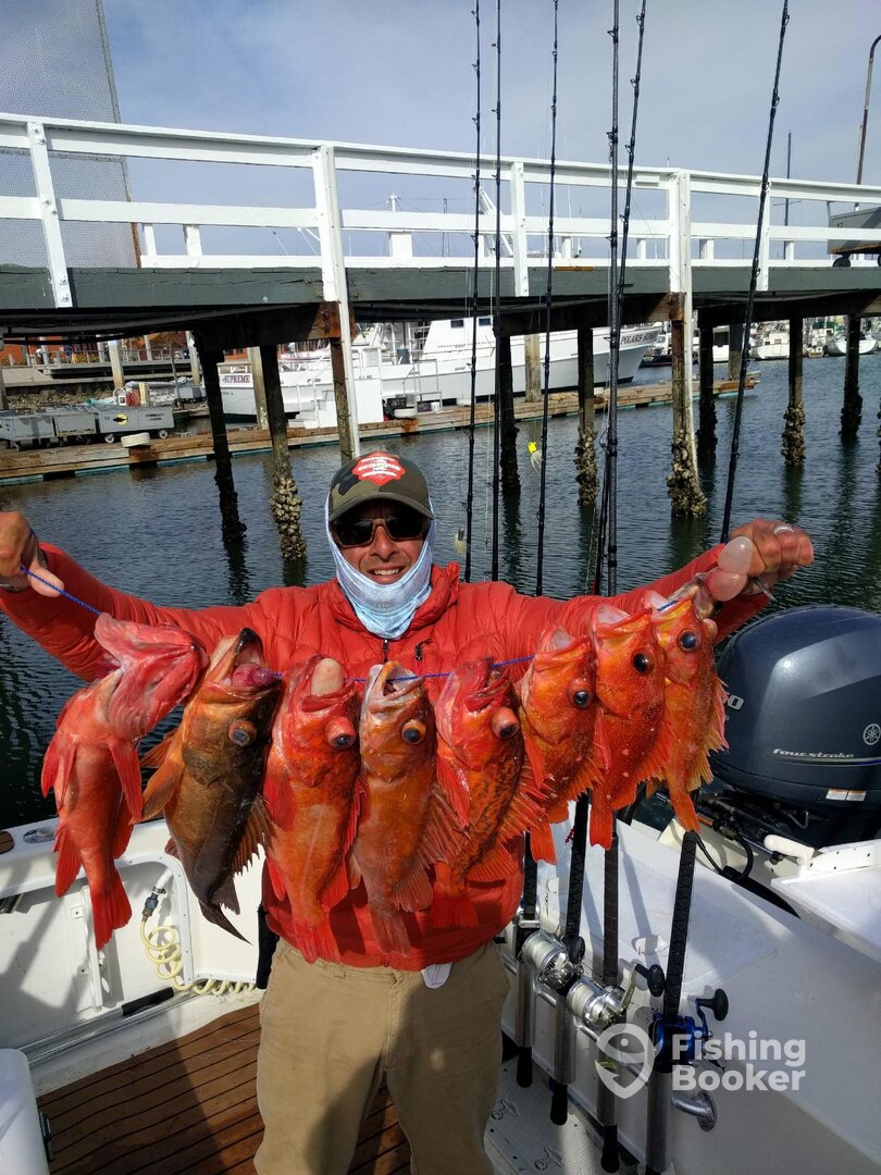 Coronado Report Photo 0