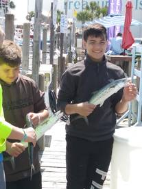 Panama City Beach Report Photo 2