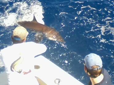 Fort Lauderdale Report Photo 1