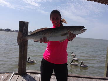 Islamorada Report Photo 2