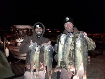 Game on !  I just love the nite bite !