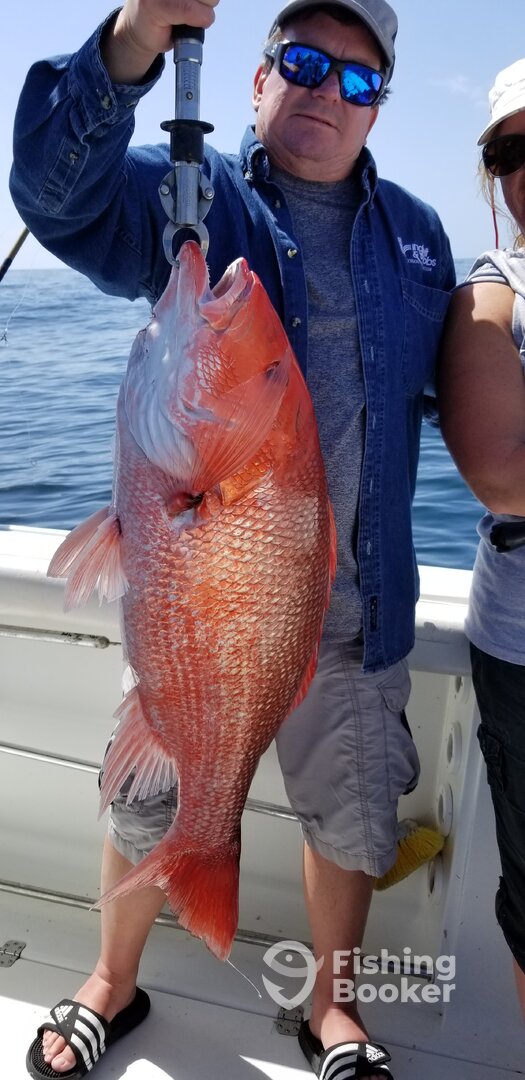 Jacksonville Report Photo 0