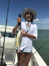 Marco Island Report Photo 1