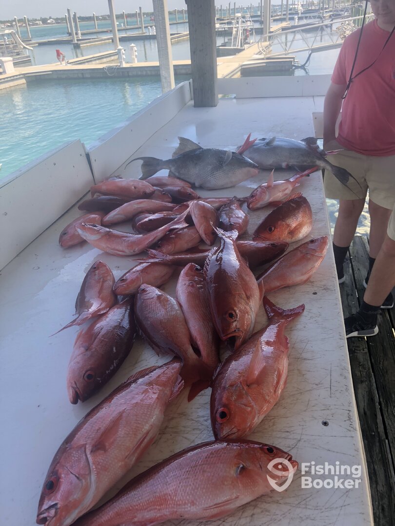Orange Beach Report Photo 0