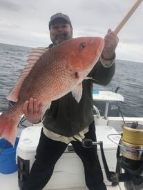 Orange Beach Report Photo 2
