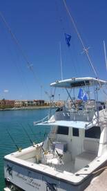 Marlin Fever fishing punta cana Atlántida