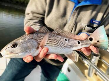 April Fishing Report