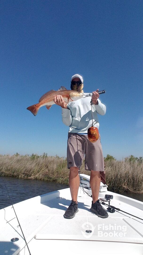 Port Sulphur Report Photo 0