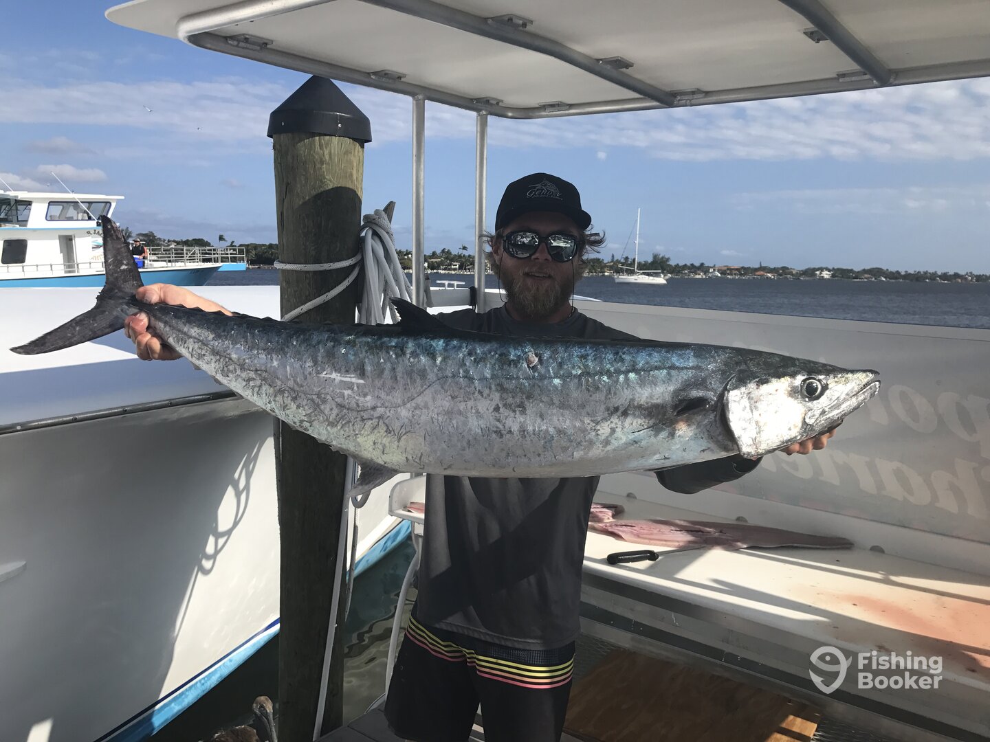 Kings today...waaay inshore!