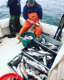 Gloucester Report Photo 1