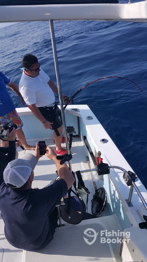Costa Adeje Report Photo 0