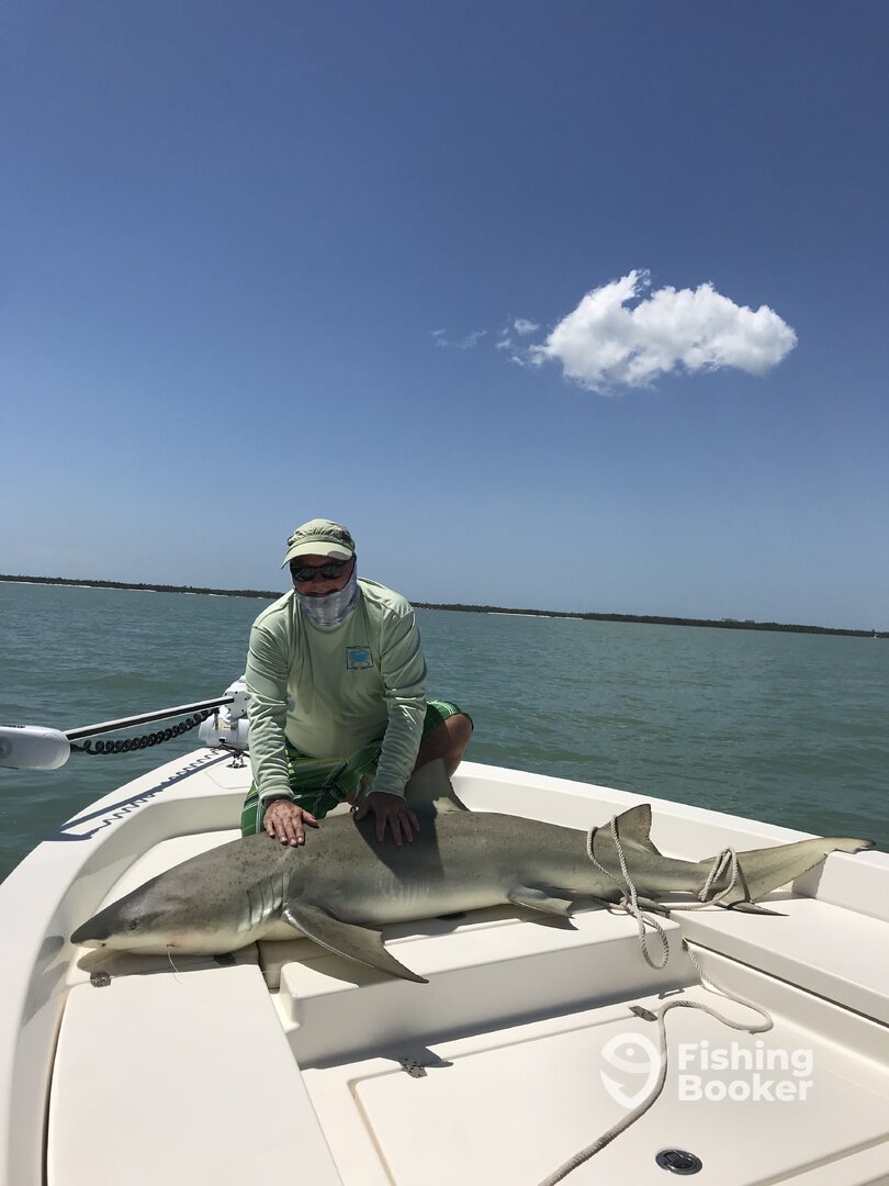 Marco Island Report Photo 0