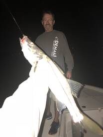 Nokomis Report Photo 2