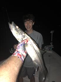 Nokomis Report Photo 1