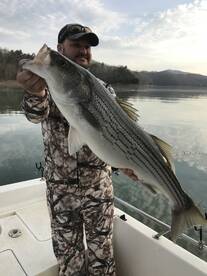 Rutledge Report Photo 1