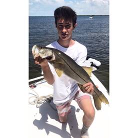 Inshore and nearshore 