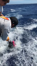 North Sound Estates Report Photo 2