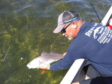 Homosassa Report Photo 2