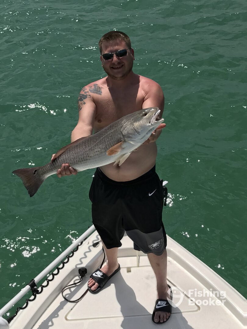 Clearwater Report Photo 0