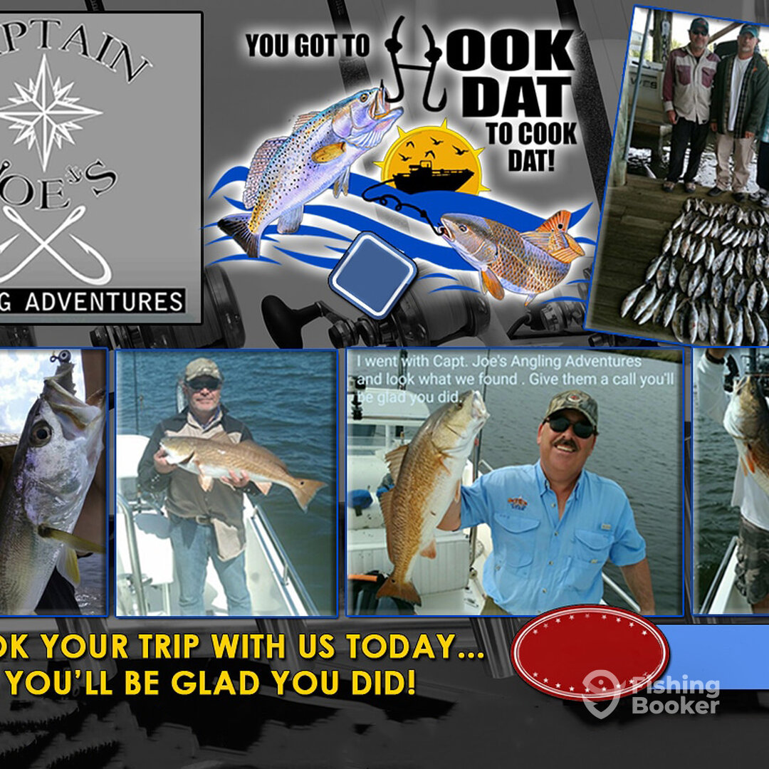 St. Bernard Report Photo 0