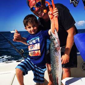 Sarasota Report Photo 1