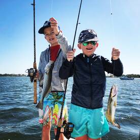 Sarasota Report Photo 2