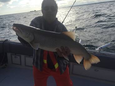 St. Catharines Report Photo 2