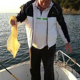 Koper Report Photo 2