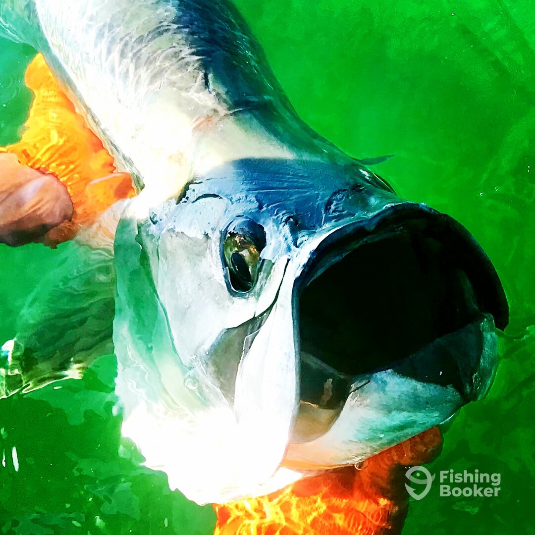 Islamorada Report Photo 0