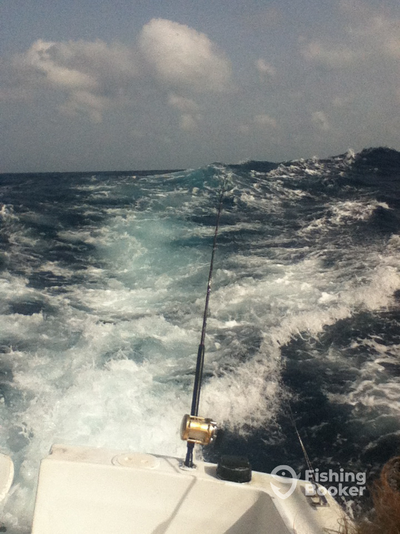 Cozumel Report Photo 0